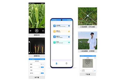 三门峡市小麦亩穗数分析仪IN-XM02
