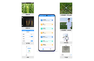 三门峡市小麦表型测量仪IN-XM05